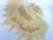 海洋玉髄　オーシャンカルセドニー　デンドライト　しのぶ石　16・18g（マダガスカル産鉱物標本）_画像8