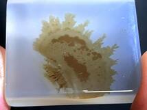 海洋玉髄　オーシャンカルセドニー　デンドライト　しのぶ石　16・18g（マダガスカル産鉱物標本）_画像5