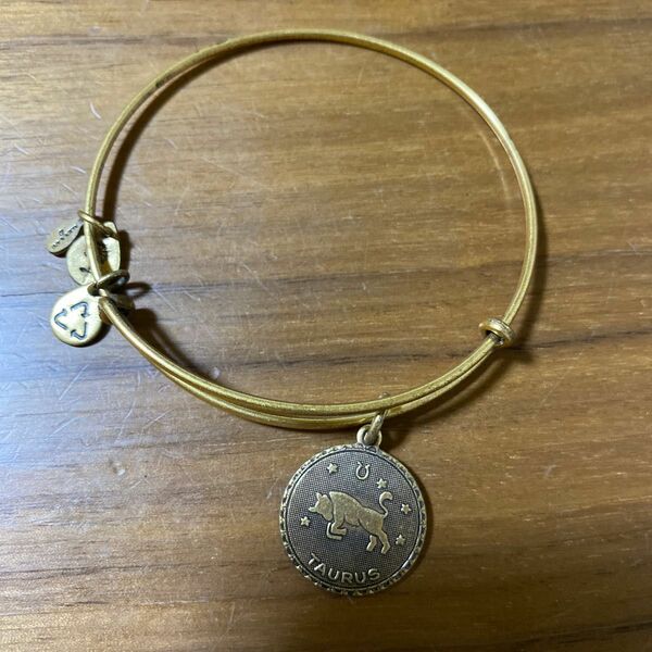 アレックスアンドアニ Alex and Ani 星座 バングル ブレスレット