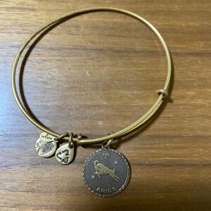 アレックスアンドアニ Alex and Ani 星座 バングル ブレスレット 牡羊座 