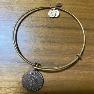 アレックスアンドアニ Alex and Ani バングル ブレスレット TREE OF LIFE