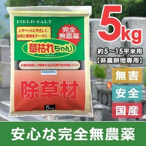  weedkiller safety less pesticide flour shape powerful business use home use garden .. measures gravel entranceway . stone safety pet dog cat child child less . recommendation scattering effect 5kg