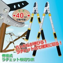 枝切り鋏 高枝切り鋏 太枝切り鋏 伸縮式 長さ調節 軽い 軽量 ラチェット式 DIY ガーデニング 庭作業 はさみ ハサミ_画像2