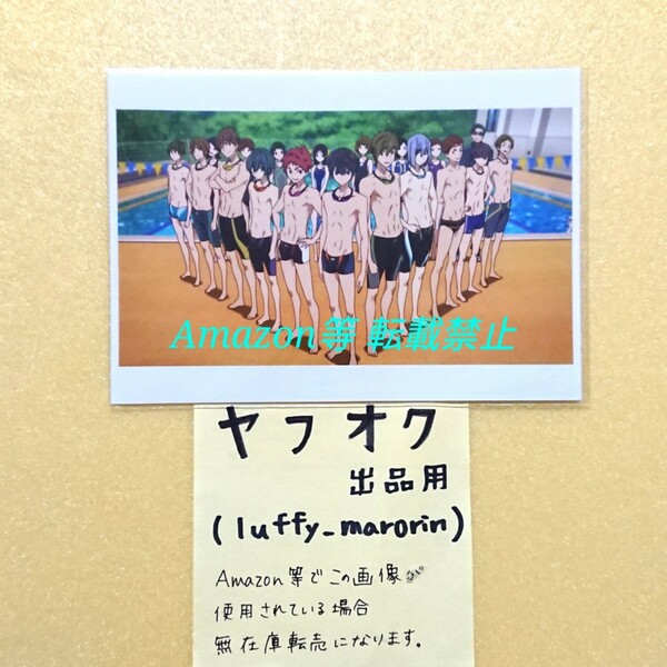 Free! 10th Anniversary Memories of Summer ブロマイド フリー 10周年 MS 限定 遙 真琴 郁弥 旭 夏也 尚 ハイスピード ハイスピ