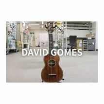 【希少！】DAVID GOMES ウクレレ 12フレット 全長約61cm 080FZB417_画像1