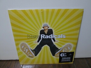 sealed 未開封 EU盤 first time on vinyl MAYBE YOU'VE BEEN BRAINWASHED TOO 2LP[Analog] New Radicals ニュー・ラディカルズ レコード