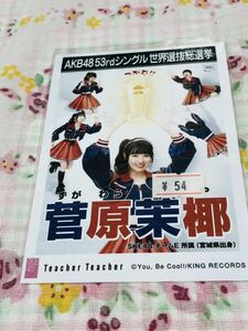 AKB48 公式生写真 teacher teacher 菅原茉椰