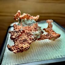 自然銅 コッパー Cu,Native Copper アメリカ ミシガン州産 ケース付き 天然石 原石 鉱物 鉱物標本 石 1円スタート 1スタ_画像3