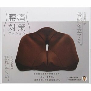 【即納】腰痛対策クッション ブラウン コジット 93451 幅43cm 正しい姿勢 骨盤 低反発 立体形状 在宅 テレワーク オフィスの画像6