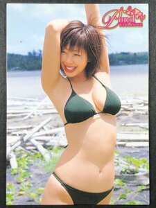 井上 和香　BOMB・ボム 2005　004　水着 グラビア アイドル トレカ トレーディングカード