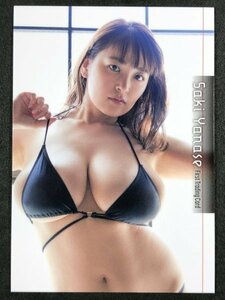 .... First RG46 купальный костюм bikini model коллекционные карточки коллекционная карточка 1st...... пирог 