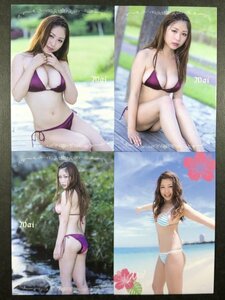 西田 麻衣　2014　14・16・17・33　４枚セット　水着 グラビア アイドル トレカ トレーディングカード