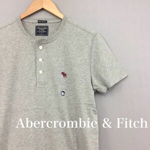 [ new goods unused, tag attaching. ] Abercrombie and Fitch Abercrombie & Fitchhe radio-controller ka deer Henley neckline T-shirt S size ~*