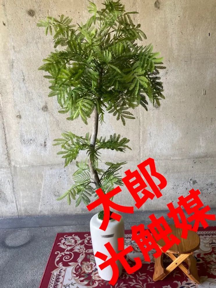 光触媒 人工観葉植物 ウォールグリーン フェイクグリーン くねくね