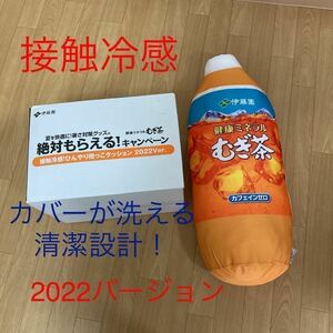 接触冷感！ひんやり抱っこクッション　伊藤園　絶対もらえる！　健康ミネラルむぎ茶　麦茶2022バージョン　『ラストの品です！』