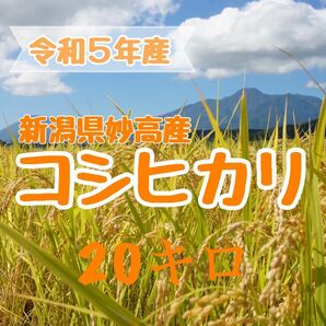 【農家直送】送料無料 お米 令和5年度 新米新潟・妙高産コシヒカリ20キロ