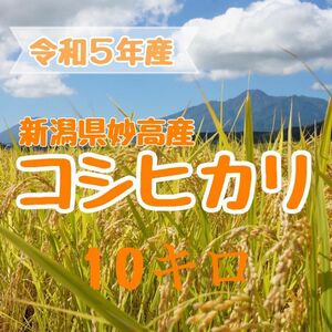 【農家直送】送料無料 お米 令和5年度 新米新潟・妙高産コシヒカリ10キロ