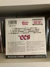 The CCS 「What A Councidence!! 」CD おまけ付き punk pop melodic japanese power pop garage メロコア　ramones_画像3