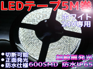 DMメール便送料無料★両側配線LEDテープ 24V5M巻 600連/強力発光/防水/カット可 ホワイト