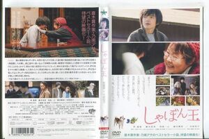 e1105 ■ケース無 R中古DVD「しゃぼん玉」林遣都/藤井美菜 レンタル落ち