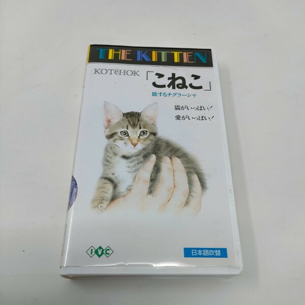 即決　送料込み　日本語吹替　VHS こねこ 旅するチグラーシャ