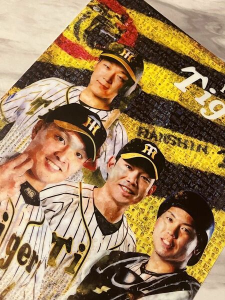 阪神タイガース　野球　クリアファイル　大山　梅野　糸原　秋山　ジョーシン　優勝　新品