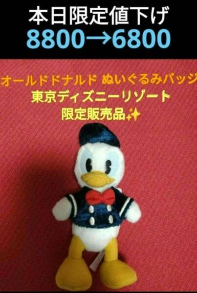 ドナルド　ぬいぐるみバッジ