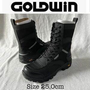 GOLDWIN