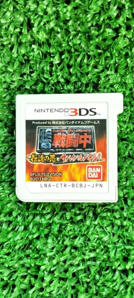 任天堂3DS　戦闘中　ソフトのみ