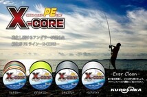 高強度PEライン★２号28lb(８編)300m巻き！5色マルチカラー　・X-CORE X8 8本編み シーバス 投げ釣り ジギング エギング タイラバ_画像3