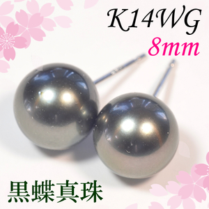 【早い者勝ち卸特価】【新品即決】K14WG南洋黒蝶真珠ピアス 約8mm ピーコックグリーン系 カジュアルから喪の席まで タヒチ パール EM366