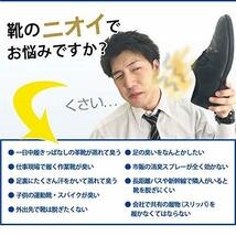 シャイニーキックス 靴消臭パウダー 大容量80g 【日本製】靴消臭 足の臭い対策消臭剤_画像2