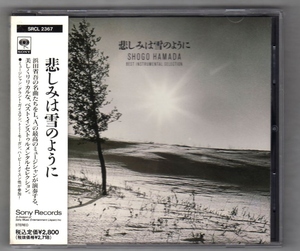 Ω 浜田省吾 作品集CD/悲しみは雪のように ベストインストゥルメンタルセレクション/トミーモーガン、ハービーメイスン/愛という名のもとに
