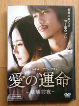 【レンタル版DVD】愛の運命 -暴風前夜- 出演:キム・ナムギル/ファン・ウスレ 2010年韓国作品_画像1