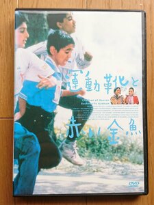 【レンタル版DVD】運動靴と赤い金魚 監督:マジッド・マジディ 1997年イラン作品