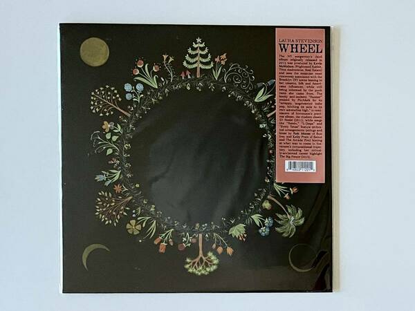 [送料無料］［未使用］ LAURA STEVENSON - WHEEL | LP | 2019 reissue | DG68 | Don Giovanni Records | ローラ・スティーヴンソン