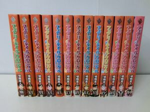 フェアリーテイル・クロニクル 空気読まない異世界ライフ 1〜13巻セット ※8巻カバー破れあり 埴輪星人