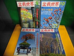  bonsai world 2006 year 9 month ~12 month number. 4 pcs. set 