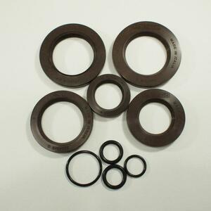 Oil seal set CASA LAMBRETTA LI LIS SX TV GP DL - crank shaft oil seals FKM ランブレッタ オイルシールセット