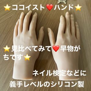 [KOKOIST ココイスト] マイハンドモデル ペア 両手セット [ピーチ] 練習用トレーニングハンド☆デッサンにも