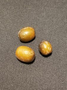 サラック　スネークフルーツ、サラカヤシの種3粒