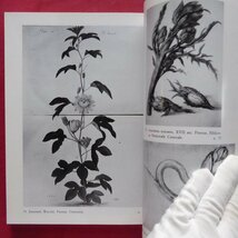 c6/洋書【フローラとポモナ-16-19世紀の素描と版画に見る園芸：Flora e Pomona/Olschki・1990年】_画像10
