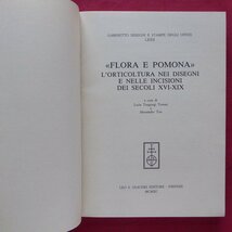 c6/洋書【フローラとポモナ-16-19世紀の素描と版画に見る園芸：Flora e Pomona/Olschki・1990年】_画像4