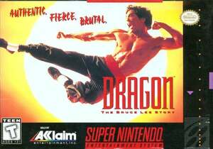 ★送料無料★北米版 スーパーファミコン SNES Dragon the Bruce Lee Story ドラゴン ブルースリーストーリー