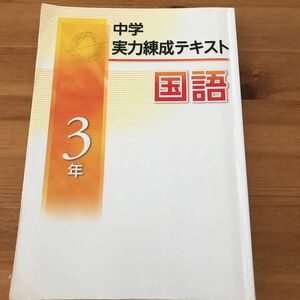 中学実力錬成テキスト　国語　3年