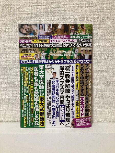 週刊ポスト 2022年11月4日号