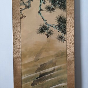 3776 【模写】春浦 松鯉図 掛軸 肉筆 絹本 布表装 合わせ箱の画像1