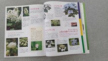 特2 52309 / NHKテレビテキスト 趣味の園芸 2010年5月号 特集 あこがれのバラを育てる！ 植物成長のフシギ アジサイ フレンチローズ_画像3