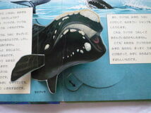 しかけ絵本2冊　きょうりゅうとなかまたち・クジラとイルカ_画像2