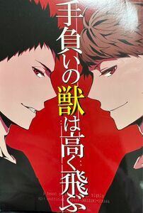 ハイキュー 同人誌 手負いの獣は高く飛ぶ 岩泉×及川